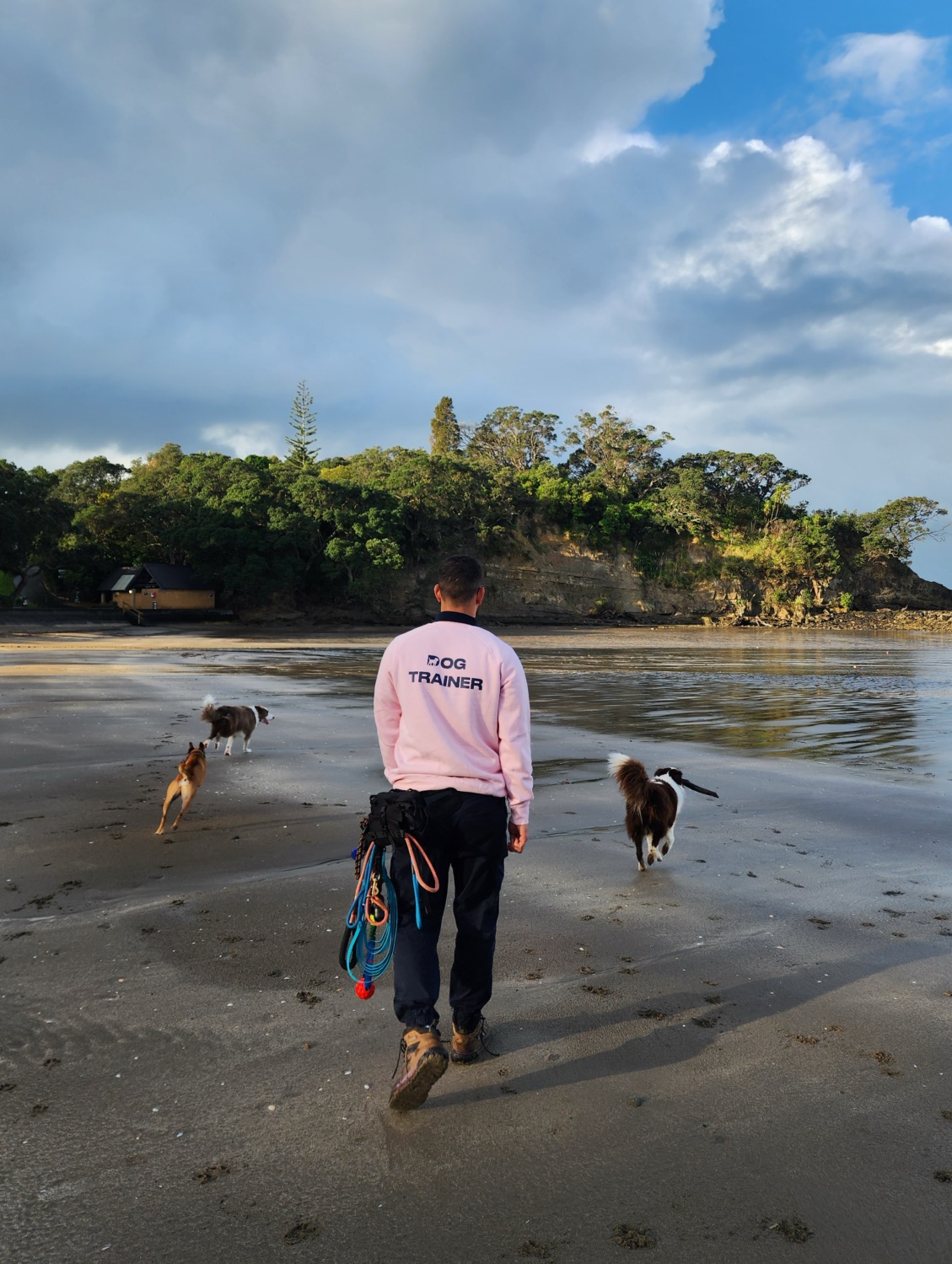 Dog Trainer in Auckland