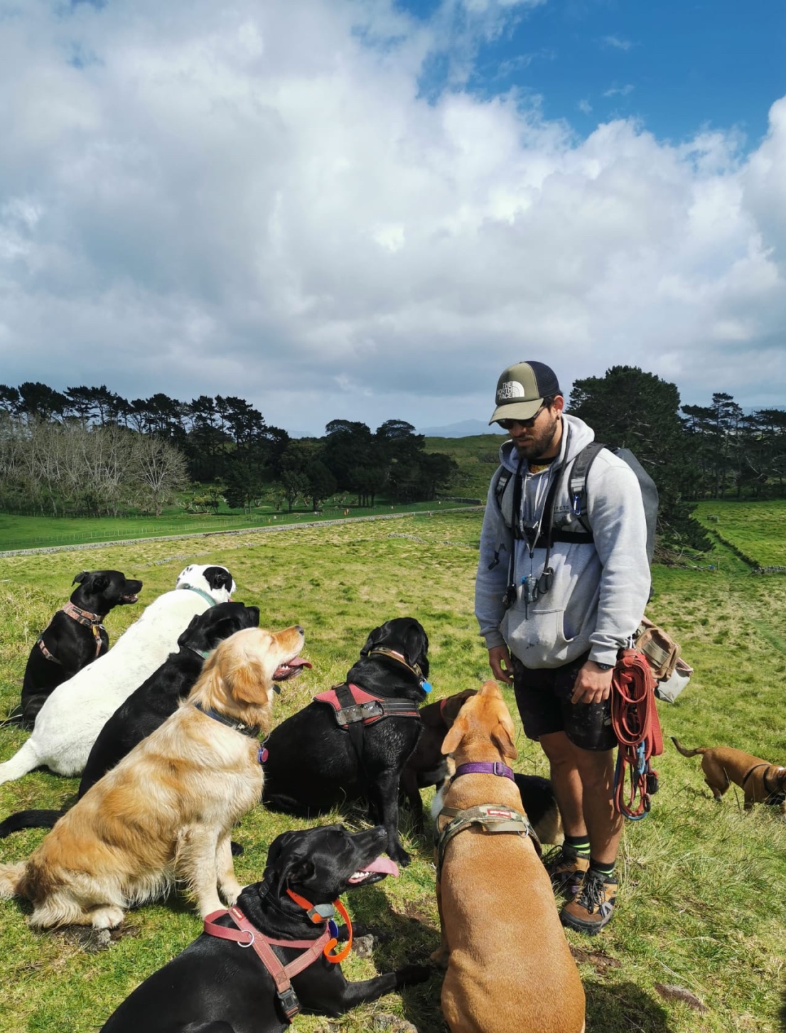 Dog Trainer in Auckland