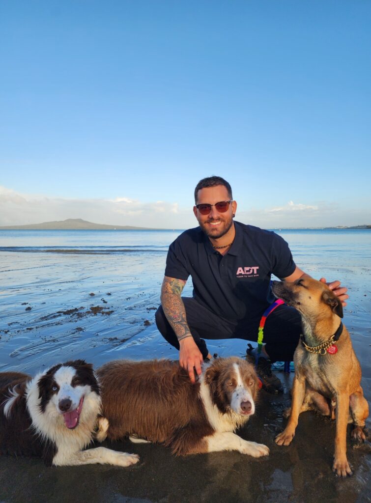 Dog Trainer in Auckland